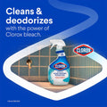 Clorox Bleach Gel Cleaner | 30 oz.