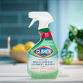 Clorox Clean-Up Cleaner + Bleach Spray & Mold Remover | 32 oz., Bathroom