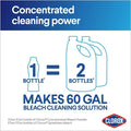 Clorox Concentrated Bleach Powder | 21.1 oz.