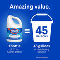 Clorox Disinfecting Bleach