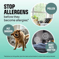 Clorox PURE Allergen Neutralizer Daily Air Spray | 8 oz., Air Care