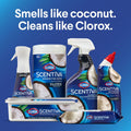 Clorox Scentiva Disinfecting Wipes₁-Flex Pack | 3-pack of 75 ct. each (225 wipes), Kitchen